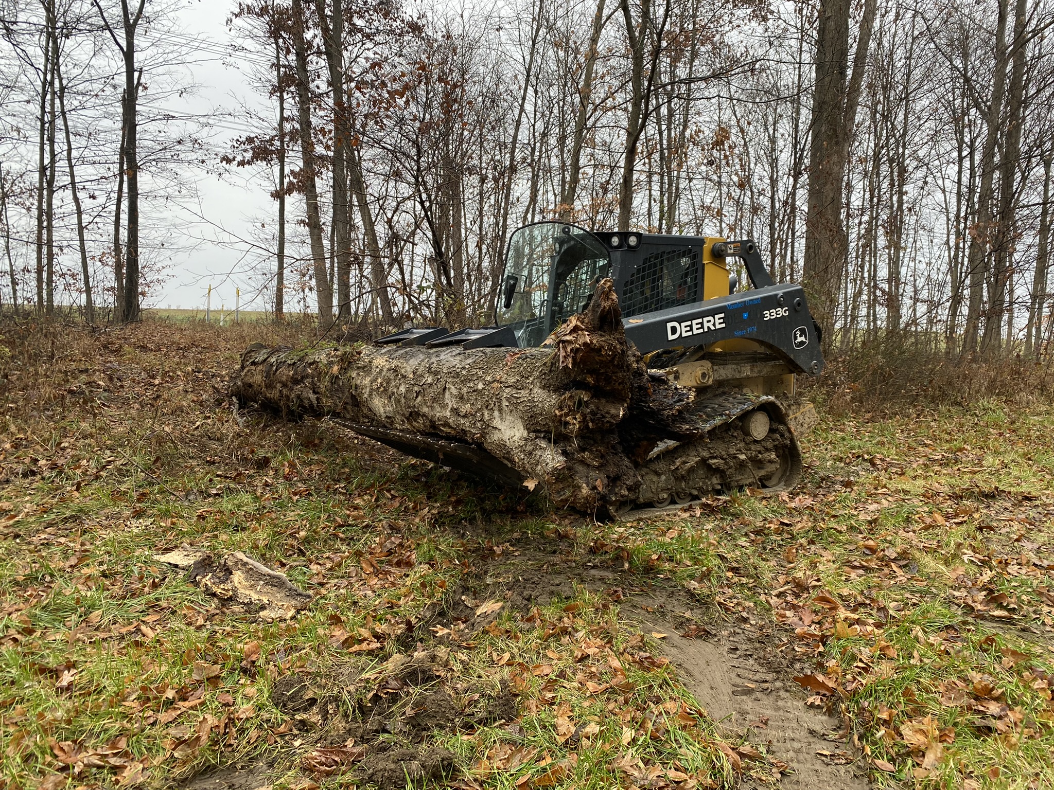 Skid steer clearing brush and logs during land clearing in Charlotte, NC