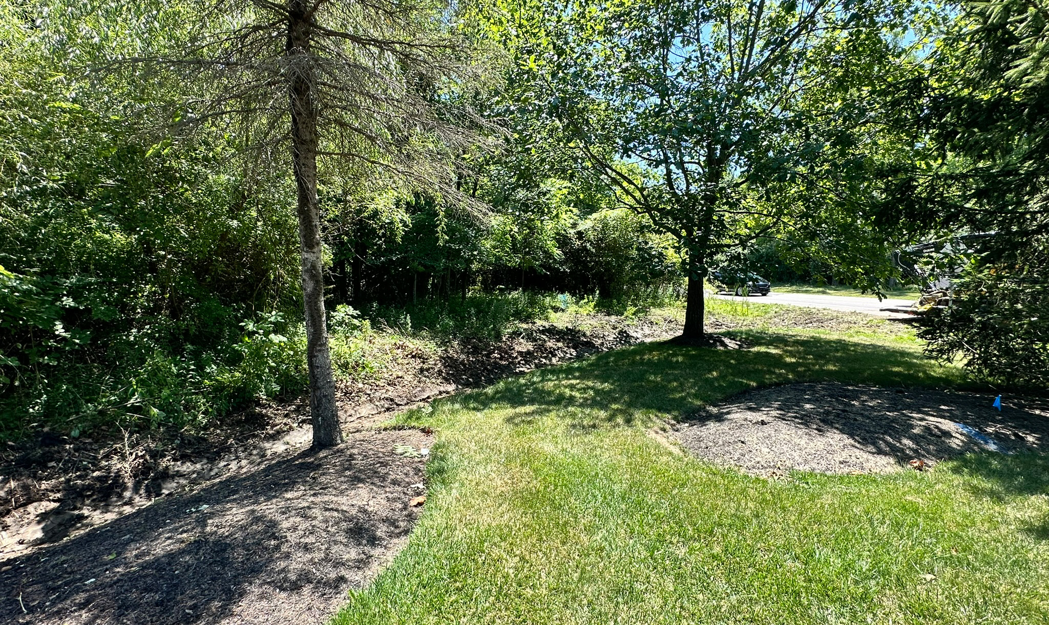 Drain Field Replacement — Charlotte excavation services