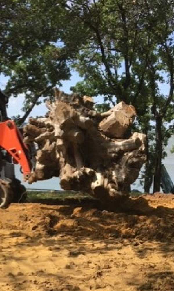 Lot Clearing — Charlotte excavation services